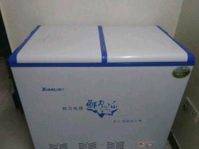 泉州丰泽区泉秀路冷冻一体冰箱及烧烤技术全套转让